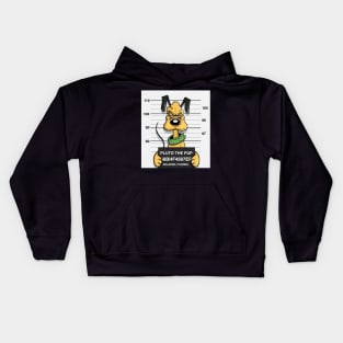 Pluto The Pup Orlando Florida Kids Hoodie